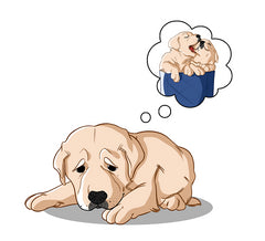 How to Help Dogs and Cats with Depression