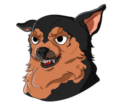 How to stop aggression | Innovet Pet