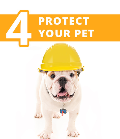 protect your pet