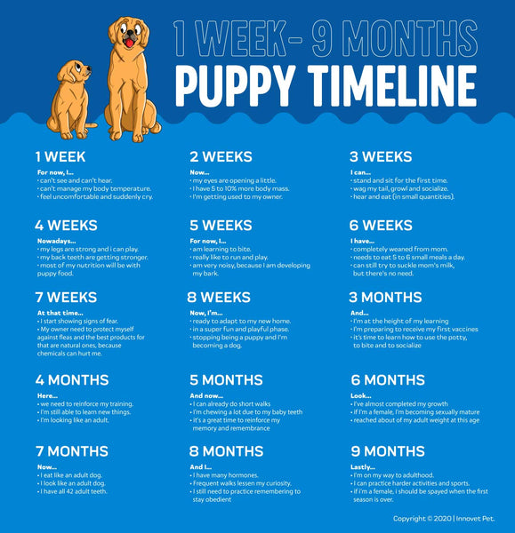 Puppy Growth Timeline