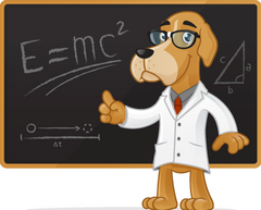 Your Dog Is Not, In Fact, a Genius | Innovet Pet