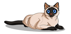 Siamese Cats | Innovet Pet