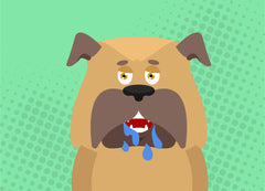 Dramamine For Dogs: Everything You Need To Know | Innovet Pet