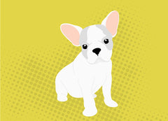 The Best Dogs for City Dwellers | Innovet Pet