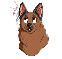 Canine Vestibular Disease: An Overview | Innovet Pet