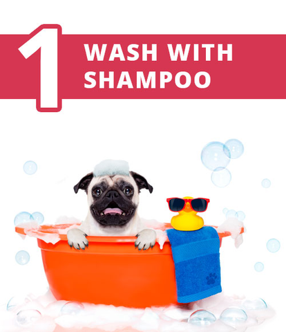 Wash with shampoo