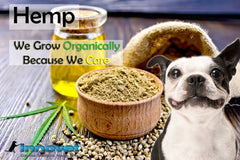 We Grow Organically Because We Care | Innovet Pet