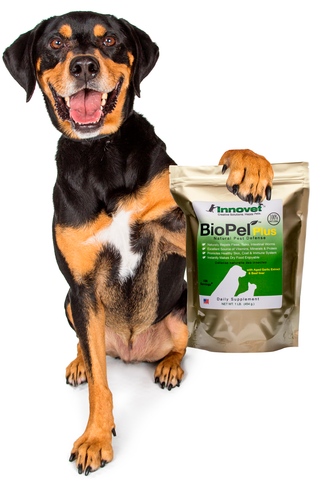 BioPel Plus supplement