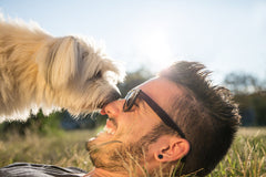 A Natural Way to Care For Your Dog | Innovet Pet
