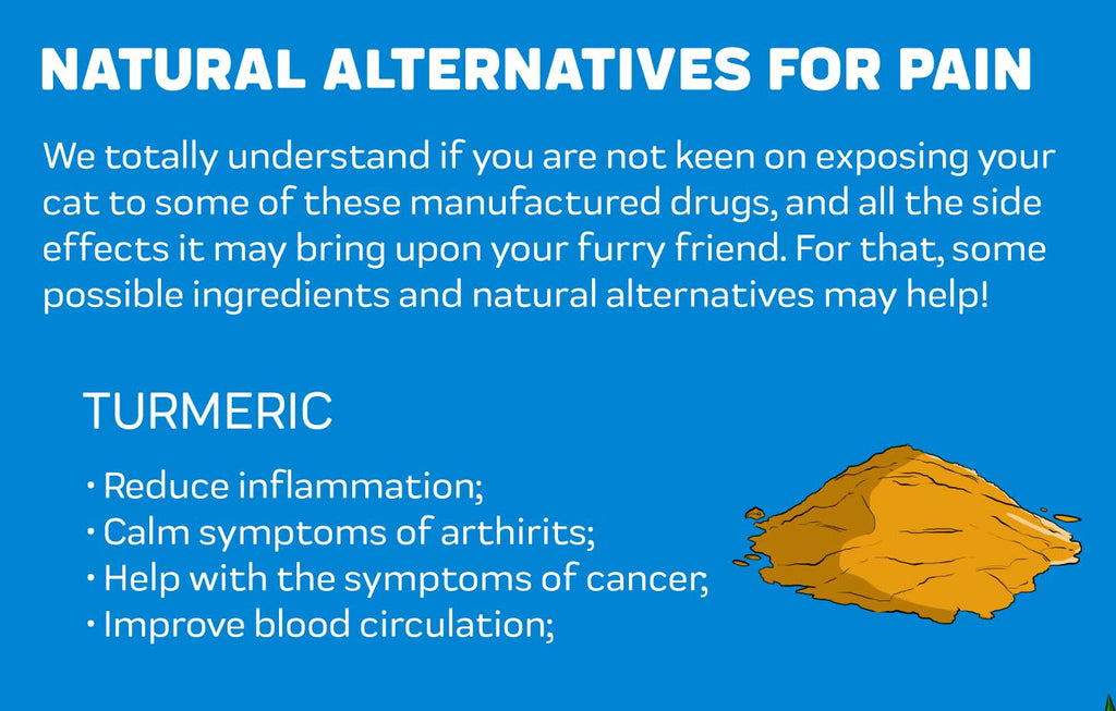 Natural Alternatives for Pain in Cats