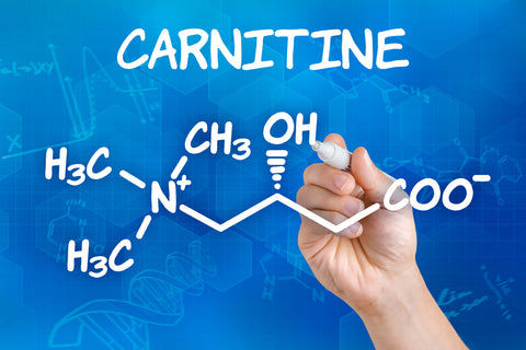 L-Carnitin - Rocka Nutrition