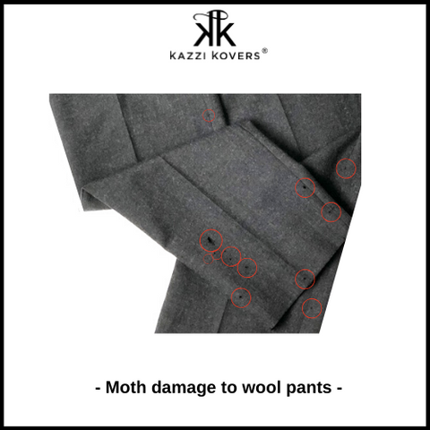 Moth holes in grey wool pants