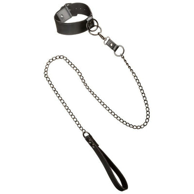 Calexotics Euphoria Collection Collar with Chain Leash