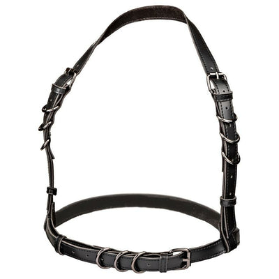 Calexotics Euphoria Collection Plus Size Halter Buckle Harness