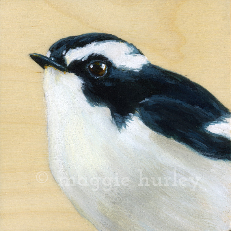 Maggie Hurley Common Fiscal ”I’m Caught In Your Undertow”