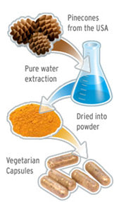 Proligna extraction infographic