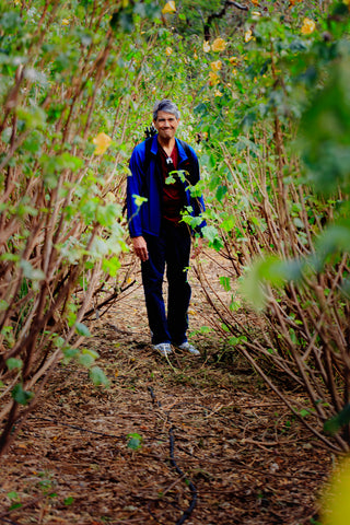 My husband walks among the Ma'o Hau Hele