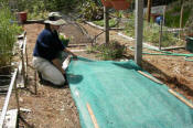 Person covering garden bed with row cover - Renee's Garden