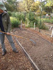 Man raking soil in garden.