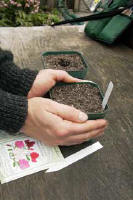 Hands holding one of two seedling pots that contain potting mix - Renee's Garden