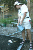 A person watering their freshly sown sweet pea seeds with a metal watering can with a sprinkler head - Renee's Garden