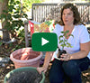 Video thumbnail for Planting Vegetables In Containers