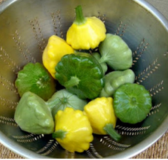 Green and yellow patty pan squashes in a strainer.