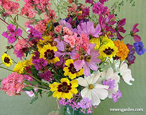 Endless Bouquets Cut Flower Garden