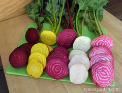Sliced rainbow color beets in red, yellow, pink and white on a green cutting board.