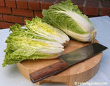 Little Jade cabbage on a round cutting board with a nakiri knife - Renee's Garden