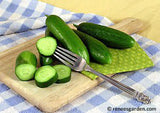 2 full cucumbers and 1 sliced, with one slice on a silver fork, on a cutting board, resting on blue gingham fabric