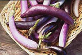 A woven wooden basket filled with light purple Asian eggplants - Renee's Garden
