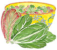 Watercolor Image for Renee's Cesar Duo - Renee's Garden