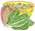 Watercolor image of Renee's Cesar Duo lettuce - Renee's Garden