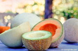 A honey dew, galia, and cantaloupe melon, each cut in have and seeded, arranged on a table with a blue tablecloth - Renee's Garden