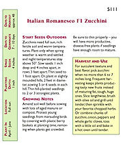 The packet back for Italian Romanesco F1 Zucchini - Renee's Garden