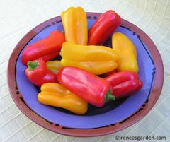 Multi color bell peppers in a bowl