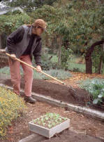 Person hoeing a garden bed to prepare it for planting - Renee's Garden