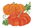 Watercolor image of two Cinderella's Carriage pumpkins  - Renee's Garden