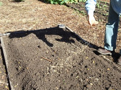 Seeds and rice hulls being scattered by hand into the raked soil.