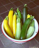 A ceramic bowl full of zucchinis in varying shade of yellow and green - Renee's Garden