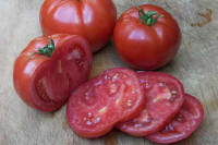 Sliced Crimson Carmello and Chianti Rose tomatoes