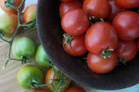 Renee's Garden Camp Joy Heirloom tomatoes in a bowl.