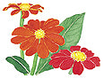 Watercolor image of some zinnias - Renee's Garden