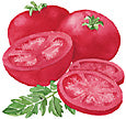 Clip art painting of red Beefsteak tomatoes. 