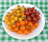 White bowl filled with orange, yellow, and red cherry tomatoes on a gingham backdrop.