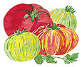 Watercolor image of Rainbow's End tomato mix - Renee's Garden