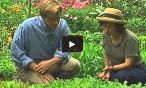 VIdeo thumbnail for Visit Renee's Trial Garden with P. Allen Smith