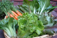 A harvest basket containing pak choi, carrots, lettuce, and chard - Renee's Garden