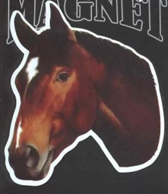 CLEARANCE...Die-cut THOROUGHBRED BAY Horse Flexible Vinyl Car Magnet